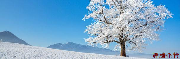 藍天白云和樹.png 藍天白云和樹.png